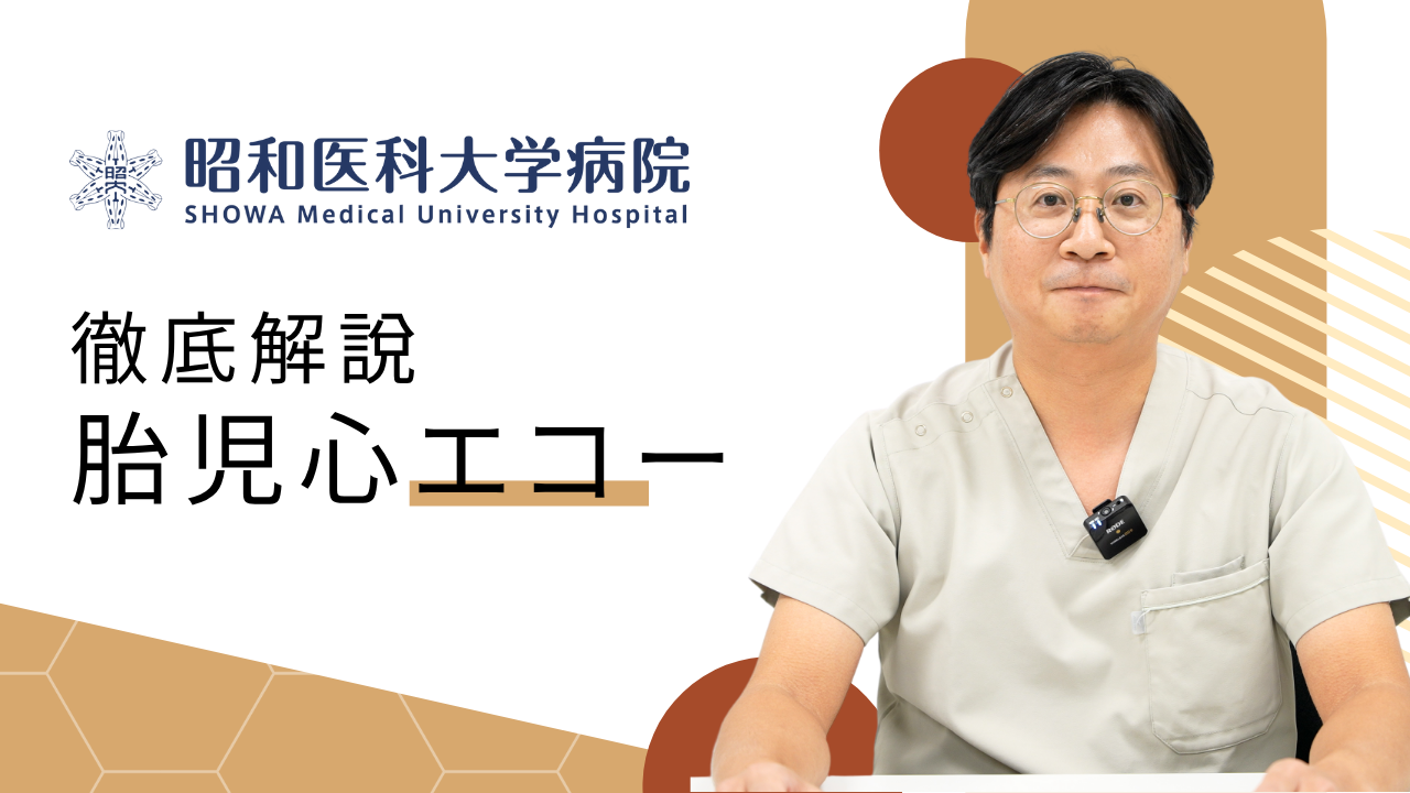 胎児心エコー 徹底解説 - 昭和医科大学病院 小児循環器・成人先天性心